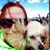 Tammy M Batzel's profile image