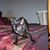 Katie Tingey's profile image