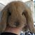 Sarah Lay Delaney's profile image