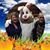 Cyndi Simanski's profile image