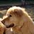 Jennifer Bispo's profile image