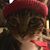 Laura Caponera's profile image