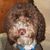 Ladybug LaPorta's profile image