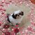 Mary Ulberg's profile image