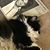 Anita Severson's profile image