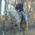 Sarah Wright's profile image