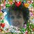 Kim E. Mowrey's profile image