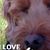 Jodee Meyer's profile image