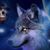Wolf Swenson's profile image