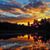 Pam Langham's profile image