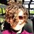 Jennifer Stover's profile image