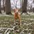 Shannen Melaine Roeder's profile image
