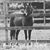 Roxanne Levesque Ignacio's profile image