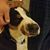 Mary Spagnola Knablein's profile image