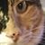 Mary Sterbenz's profile image
