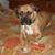 Mary Ann Bridges's profile image