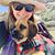 Courtney Wheeler's profile image