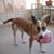 Lorraine Wolfsohn's profile image