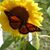 Judith Richardson's profile image