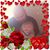 Stacey Songer's profile image