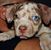 Loretto-Benoit Nora's profile image