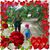 Wilene Zanercik's profile image