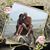 Deb Whitworth's profile image