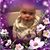 Anita Burton's profile image