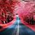 Karen J. Wilson's profile image