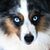 Sheila Lynn's profile image