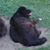 Dwayne Kuipers's profile image