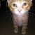 Michelle Mellinger's profile image