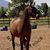 Julie Errend's profile image