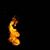 Amit Raj Rohan Ekka's profile image