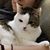 Lori Kishimoto's profile image