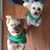 Julie Wilburn's profile image