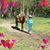 Sherry Sallee Knowles's profile image