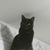 Julianne Zawacki-Corriere's profile image