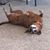 Sandy K Ramey's profile image