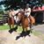 Lindsay Bronson Brinda's profile image