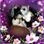 Betty Arnold's profile image