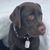 Kraig Glatfelter's profile image