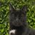Matthew Sulser's profile image