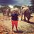 Shamim Ehsani's profile image