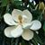 Robin Shutt's profile image