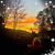 Heather Bestgen's profile image