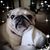 Joy Kranwinkle's profile image