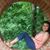 Cristina Pena's profile image