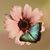 Linda Prince's profile image