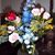 Natalie Baillie's profile image